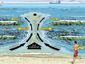 How to Escape a Rip Current